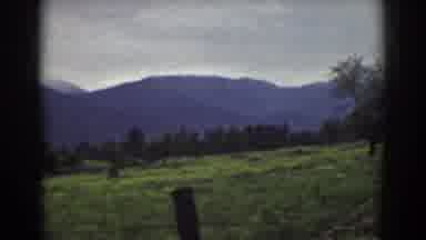 Mount Washington New Hampshire (1939): Sloping Countryside Trees Grass And Flowers