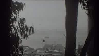 San Francisco California (1939): Wind Blowing Trees Near Water