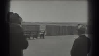 San Francisco California (1939): A Group Of Women Observing Something Unusual