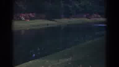 Florida (1941): Pond In Wooded Area