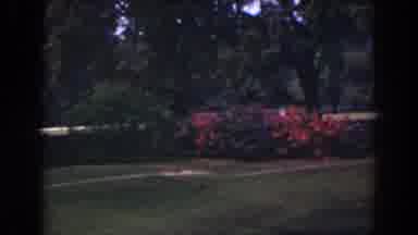 Florida (1941): Beautiful Garden In The Morning