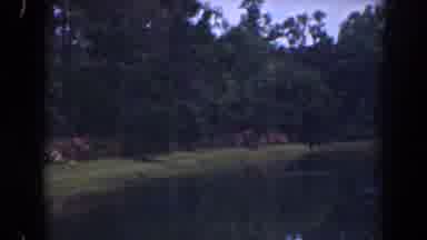 Florida (1941): Clip Of Flowers In Building Cuts To Wide Stream Of Water