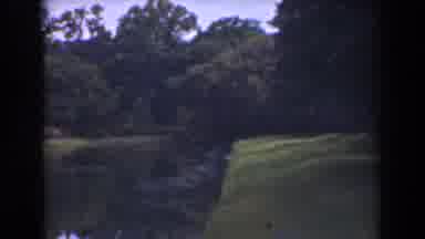 Florida (1941): Panning Footage Of A Well Kept Grassy Area Surrounded By Trees And