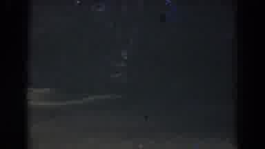 Florida (1941): Slow Pan Of Backyard With Ground And Trees Low Light