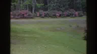 Florida (1941): Colorful And Beautiful Flowers Inside The Park Alongside River