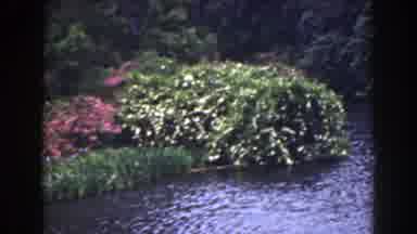 Florida (1941): Nature Frees You With Trees And Water