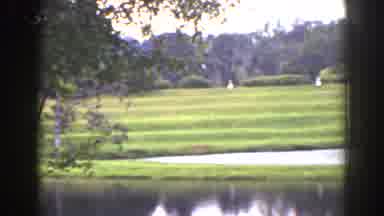 Florida (1941): People In The Park On A Hill With Rolling Hill To The Pond