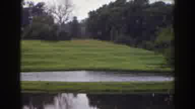 Florida (1941): Set Of Trees In An Open And Green Field With A Lake