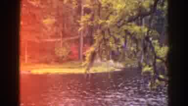 Florida (1941): The Beautiful Cypress Garden With Wonder full Lake And Beautiful