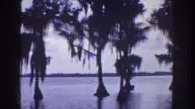 Florida (1941): A Nice Holiday View That People Would Like To See Someday