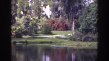 Florida (1941): Nature Beauty And Calmness