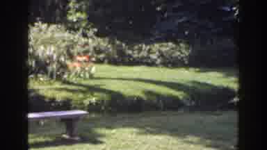 Florida (1941): View Of Plants And Trees In Green Garden On A Bright Sunny Day