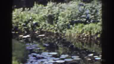 Florida (1941): Taking Some Shots From The Lacuna At The Golf Club