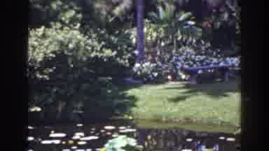 Florida (1941): Bench In Tropical Waterside Setting With Vibrant Plants And