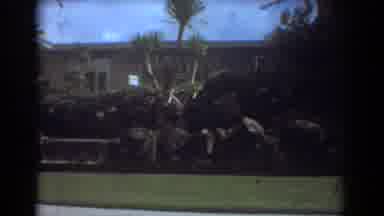 Fort Lauderdale Florida (1967): A Beautiful House Made With Love Has A Mini