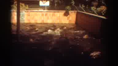 Fort Lauderdale Florida (1967): View Of Alligators In Brick Enclosure And People