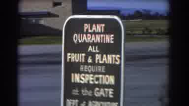 Perth Australia (1967): There Is More To Only People Being Quarantined Or Animals