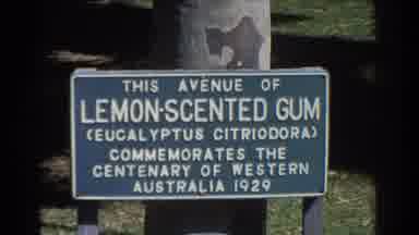 Perth Australia (1967): Signage Of An 100th Anniversary Australian Avenue Is Known