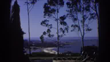 Perth Australia (1967): Wind Blows Through The Trees As We Watch From Above