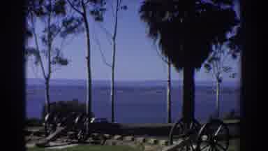 Perth Australia (1967): Nice Warm Sunny Day As Palm Trees Blow In The Summer