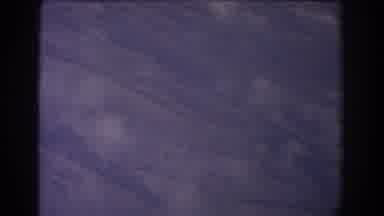 Sydney Australia (1967): I Have A Baby Dog And He Are Crazy And Funny