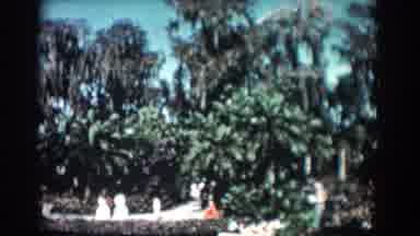 Florida (1957): The Beautiful Scene On A Lazy River During Our Trip