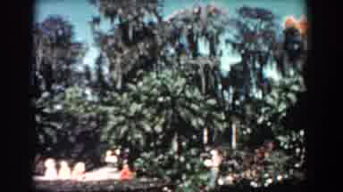 Florida (1957): Person Wearing Red Shirt Rides White Boat Through Quiet Pond On A