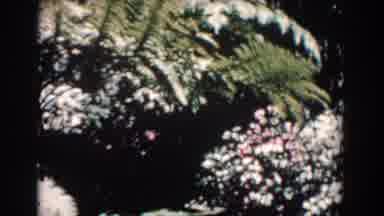 Florida (1957): Boat Ride Through A Garden With Tourist