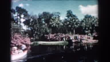 Florida (1957): Row Boats Floating Down A Beautiful Tropical River With Flowers