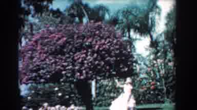 Florida (1957): Beautiful Woman Goes To Her Garden Pick Up A Fruit From The Three
