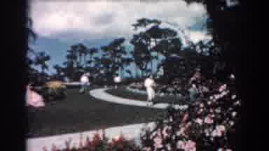 Florida (1957): People Walking On Paths Tropical Garden Played In Reverse