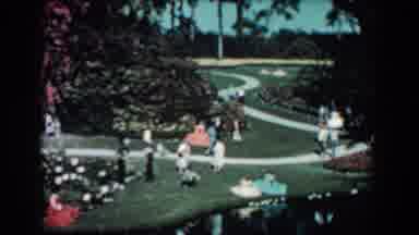 Florida (1957): View Of White Path Winding Through Green Garden On A Bright Sunny