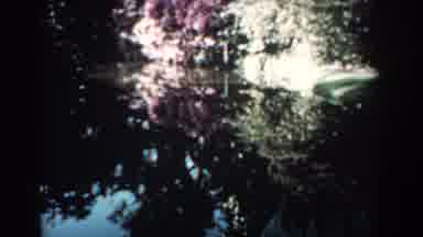 Florida (1957): The Camera Pans Across The Pond And Captures The Trees With