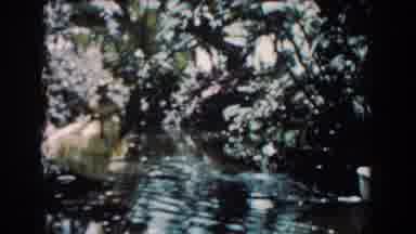 Florida (1957): Person With Yellow Dress Watches Boat With Adult And Children Sail