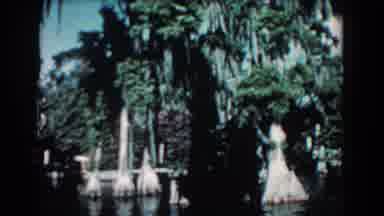 Florida (1957): Forest River Woods Green Leaves Water Boat Moving Away