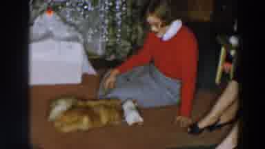 Wheeling Ohio (1957): Three Women Gather Around A Dog In The Living Room During