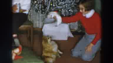 Wheeling Ohio (1957): Girl Holds White Kitten Over Brown Dog By Christmas Tree