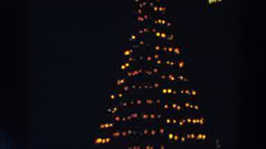 Wheeling Ohio (1957): Christmas Tree Lit Up In The Dark During Some Event