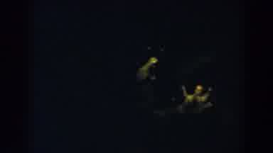 Wheeling Ohio (1957): A Panning Still Image Of Two People On A Black Background