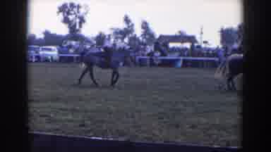 Wheeling Ohio (1957): People On Horseback Riding In Grassy Show Ring Cars Parked