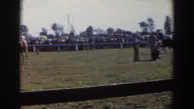 And now, folks, horses gallop where fences are mere suggestions!