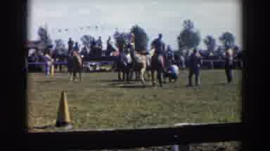 Wheeling Ohio (1957): Cowboys And Cowgirls Showing Off Horses At A Small Rodeo