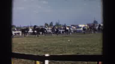 Wheeling Ohio (1957): Horses Trot In Grassy Enclosure With Saddle Riders Near