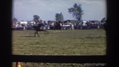 Wheeling Ohio (1957): Horse Ride Preparation Show Off Pr-Race Vintage In Front Of