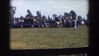 Wheeling Ohio (1957): Different Horses Walking As They Prepare For Race