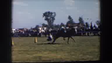 Wheeling Ohio (1957): Sunny Day At The Horse Race Competition Cowboys Riding