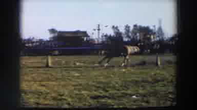 Wheeling Ohio (1957): Horse Show In Color