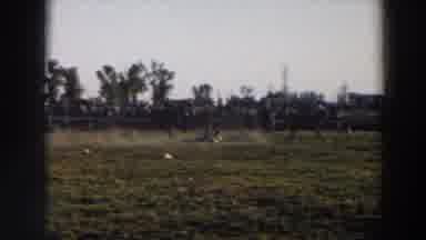 Wheeling Ohio (1957): A Horse And Rider Have Lassoed And Are Dragging Livestock In