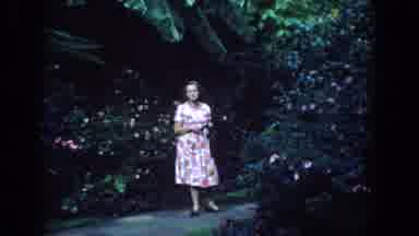 Florida (1958): Woman Walking In A Park In A Pink Dress Observing The Nature