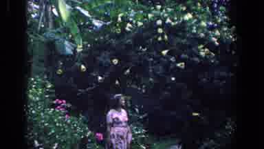 Florida (1958): Woman In A Garden